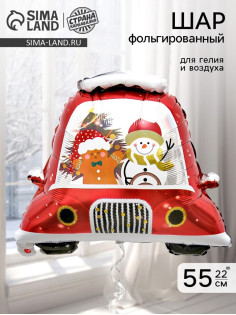 Воздушный шар фольгированный 22