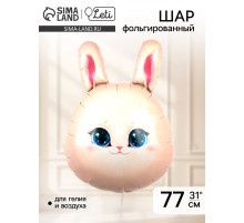 Воздушный шар фольгированный 31
