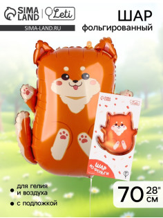 Воздушный шар фольгированный 28