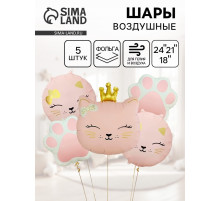 Воздушные шары «Кошечка с короной», набор 5 шт.