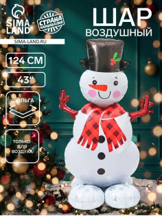 Воздушный шар фольгированный 3D 43