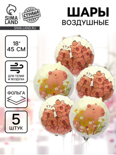 Воздушный шар фольгированный 18