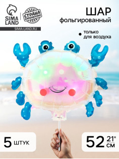 Воздушный шар фольгированный 21