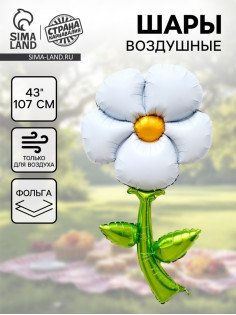 Воздушный шар фольгированный 43