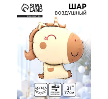 Воздушный шар фольгированный 31