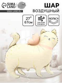 Воздушный шар фольгированный 27