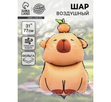 Воздушный шар фольгированный 31