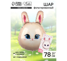 Воздушный шар фольгированный 31