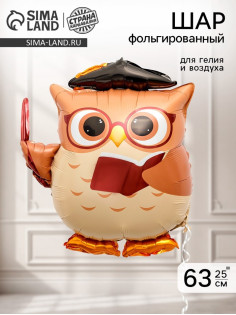 Воздушный шар фольгированный 25