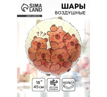 Воздушный шар фольгированный 18