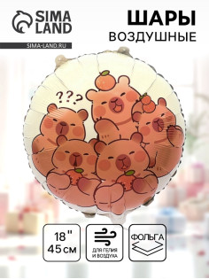 Воздушный шар фольгированный 18