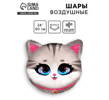 Воздушный шар фольгированный 24