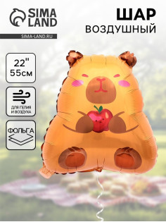 Воздушный шар фольгированный 22