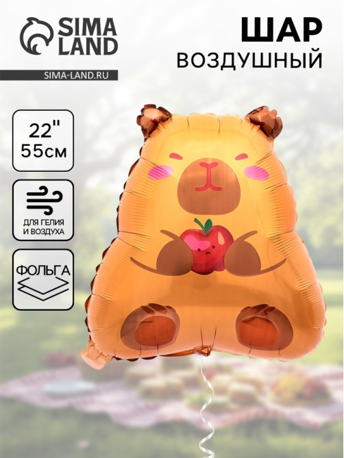 Воздушный шар фольгированный 22