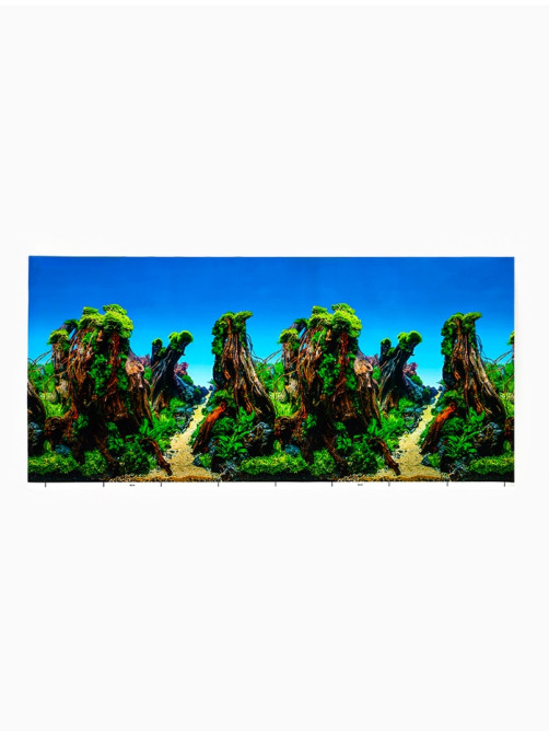 Фон для аквариума и террариума, 40×75 см, двухсторонний