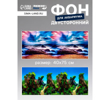 Фон для аквариума и террариума, 40×75 см, двухсторонний