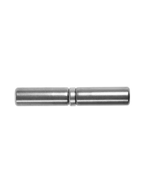 Петля гаражная ТУНДРА, с подшипником, 20×120 мм, набор 10 шт.