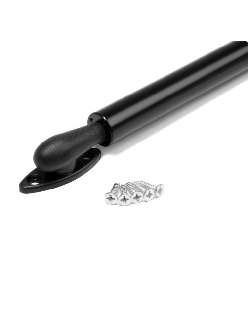 Газовый лифт ТУНДРА GG100BL, 100N, с доводчиком, черный, 2 шт. TMP