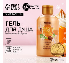 Гель для душа, 300 мл, аромат пряный эль, Чистое счастье