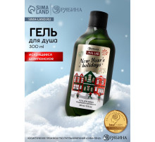 Гель для душа, 300 мл, New Year holidays, аромат: искрящееся шампанское, Ural Lab Winter Melody
