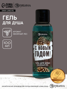 Гель для душа мужской «С Новым Годом!», 100 мл, аромат хвойного леса, Чистое счастье