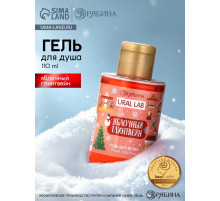 Гель для душа, аромат яблочного глинтвейна, 110 мл, URAL LAB