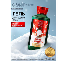 Гель для душа URAL LAB, 295 мл, аромат яблока в карамели, Новый Год