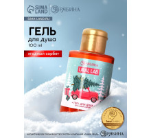 Гель для душа, аромат ягодного сорбета, 100 мл, URAL LAB
