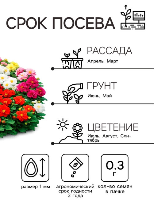 Семена цветов Георгина «Фараон», смесь окрасок, 0.3 г, «Рецепты дедушки Никиты»