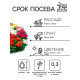 Семена цветов Георгина «Фараон», смесь окрасок, 0.3 г, «Рецепты дедушки Никиты»