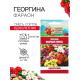Семена цветов Георгина «Фараон», смесь окрасок, 0.3 г, «Рецепты дедушки Никиты»