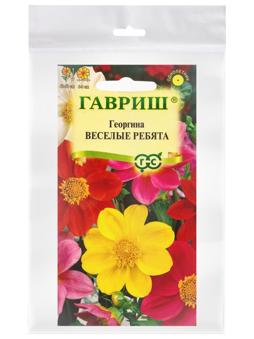 Набор семян Георгина воротничковая «Весёлые ребята», 0.3 г, «Мой выбор»