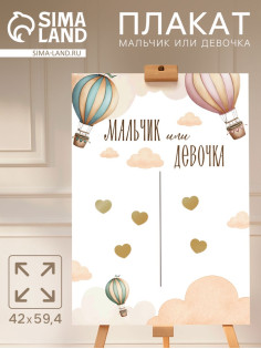 Плакат «Мальчик или девочка» с наклейками