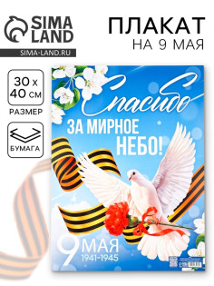 Плакат на 9 мая «Спасибо за мирное время», 30×40 см