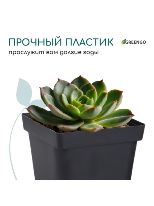 Горшок для рассады, 700 мл, 10×10×12.5 см, пластик, чёрный, Greengo