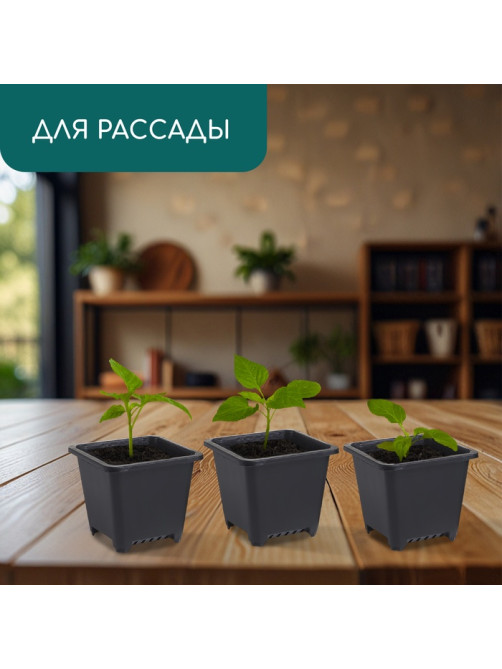 Горшок для рассады, 250 мл, 9×9×8 см, пластик, чёрный, Greengo