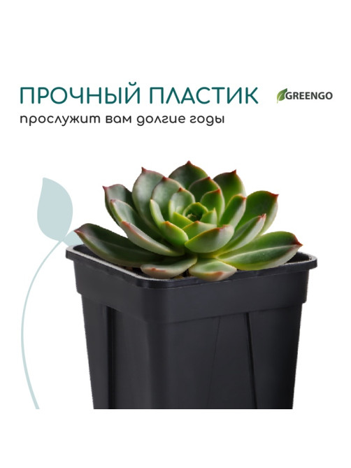 Горшок для рассады, 250 мл, 6.7×6.7×8 см, пластик, чёрный, Greengo