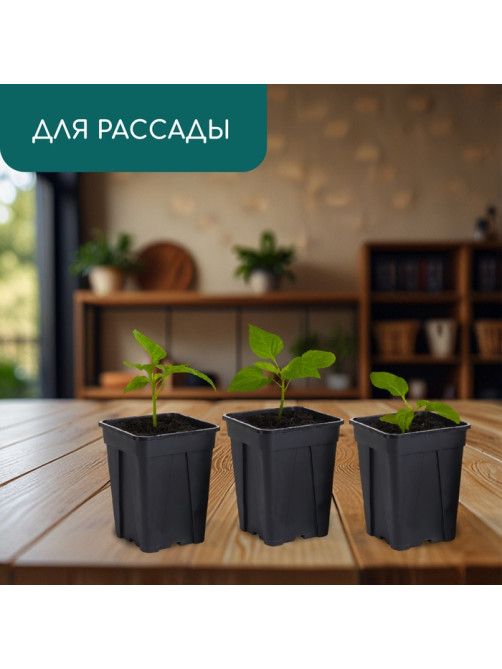 Горшок для рассады, 250 мл, 6.7×6.7×8 см, пластик, чёрный, Greengo
