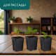 Горшок для рассады, 250 мл, 6.7×6.7×8 см, пластик, чёрный, Greengo