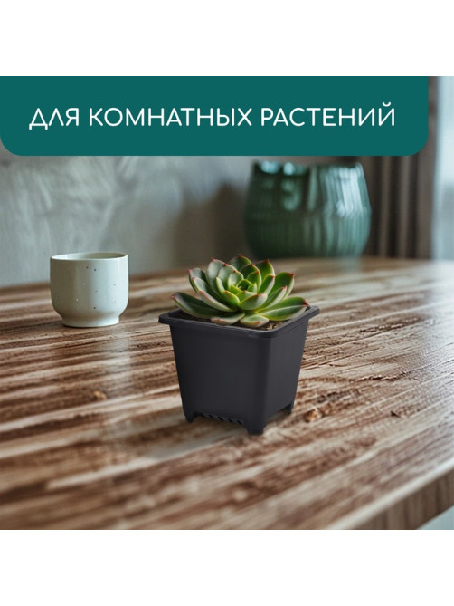 Горшок для рассады, 250 мл, 9×9×8 см, пластик, чёрный, Greengo