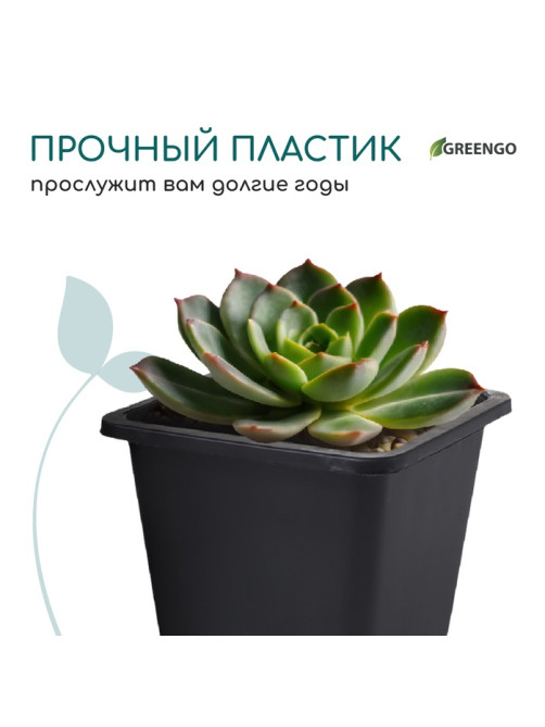 Горшок для рассады, 250 мл, 9×9×8 см, пластик, чёрный, Greengo