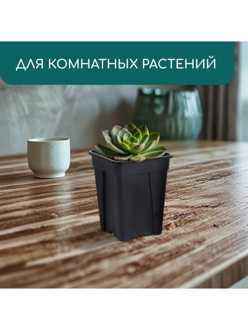 Горшок для рассады, 250 мл, 6.7×6.7×8 см, пластик, чёрный, Greengo