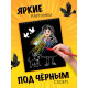 Альбом гравюр «Волшебник изумрудного города», 8 гравюр, цветной фон, Александр Волков