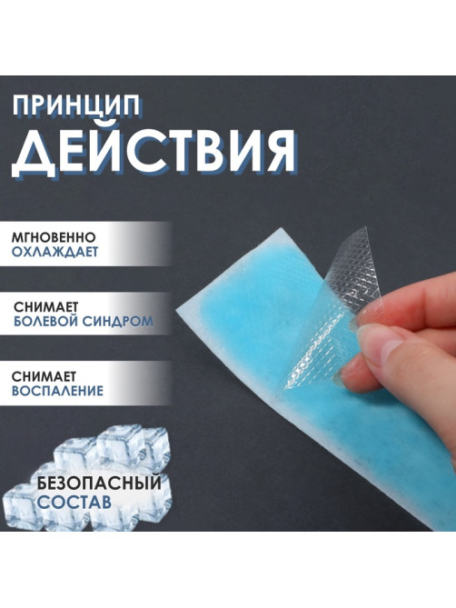 Пластина охлаждающая, набор - 5 шт., 12×5 см, синяя