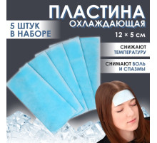 Пластина охлаждающая, набор - 5 шт., 12×5 см, синяя