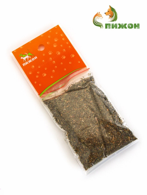 Кошачья мята «Пижон», 10 г