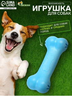 Жевательная игрушка для собак «Вкусная кость», 11 см, с отверстиями для лакомств, TPR, голубая