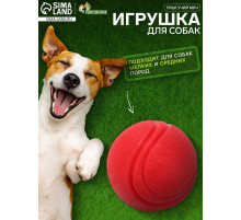 Игрушка для собак «Прыгучий мяч», 5 см, цельнолитая, TPR, красная