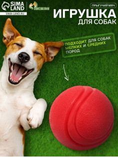 Игрушка для собак «Прыгучий мяч», 5 см, цельнолитая, TPR, красная