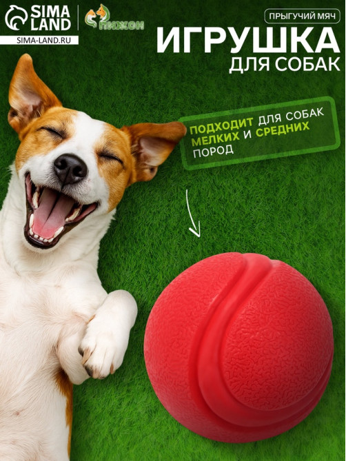 Игрушка для собак «Прыгучий мяч», 5 см, цельнолитая, TPR, красная